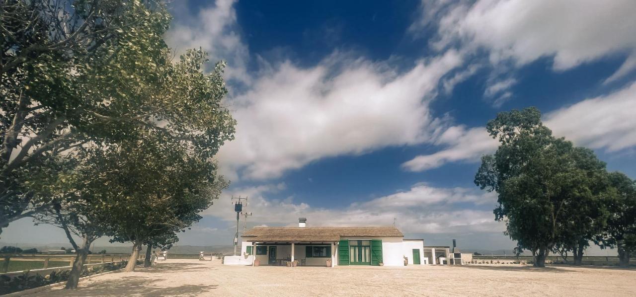 Masia Blanca デルテブレ エクステリア 写真