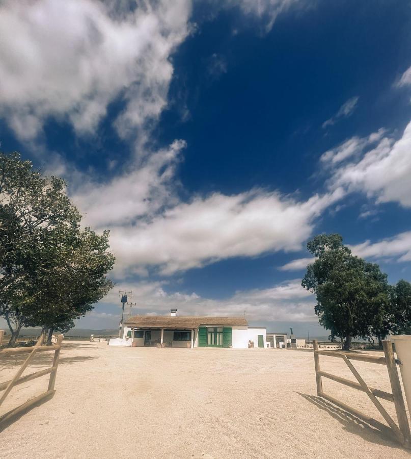 Masia Blanca デルテブレ エクステリア 写真