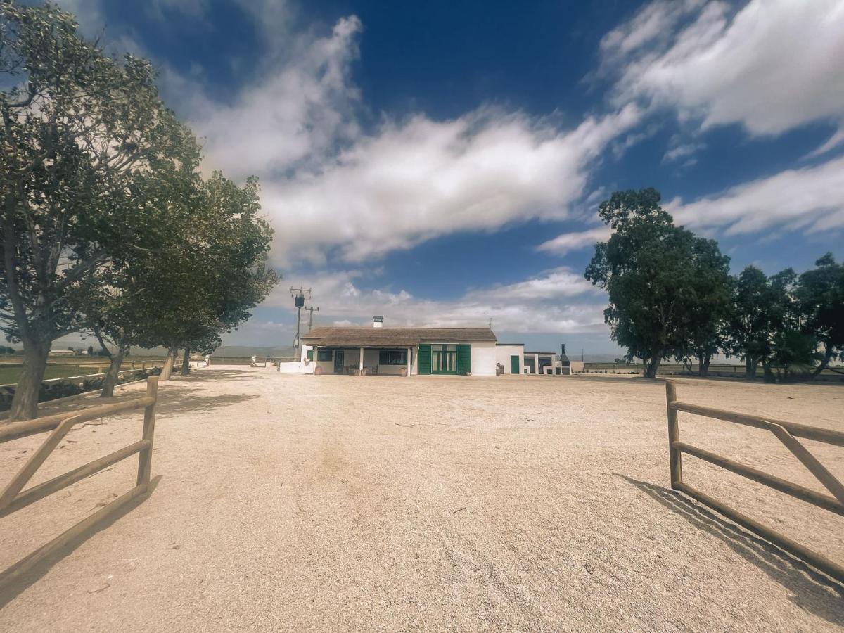 Masia Blanca デルテブレ エクステリア 写真